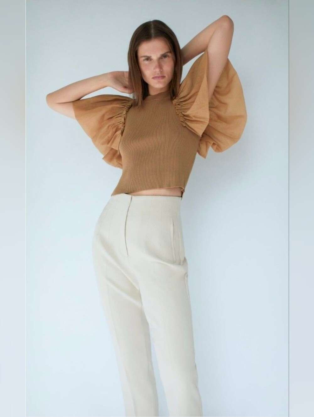 Zara Camel Ribbed Crop Top with Dramatic Flutter Sleeves Size Small